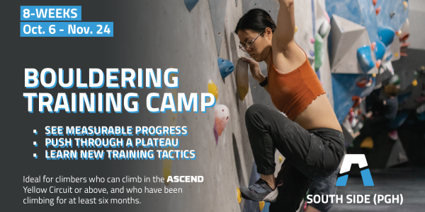training-camp-blog.png